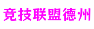 湖北省襄阳市竞技联盟德州模拟游戏开发有限公司